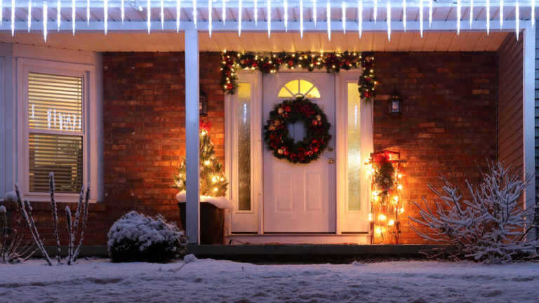 Part II:”Santa Claus as PPAR-α: The Morning After – Reading the Encoded Message Inside Your Cells”