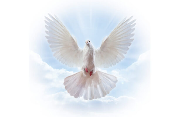 Genomic Intelligence — Part 3: The Holy Spirit = Epigenetic Regulation of the Genome