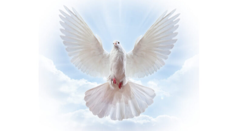 Genomic Intelligence — Part 3: The Holy Spirit = Epigenetic Regulation of the Genome